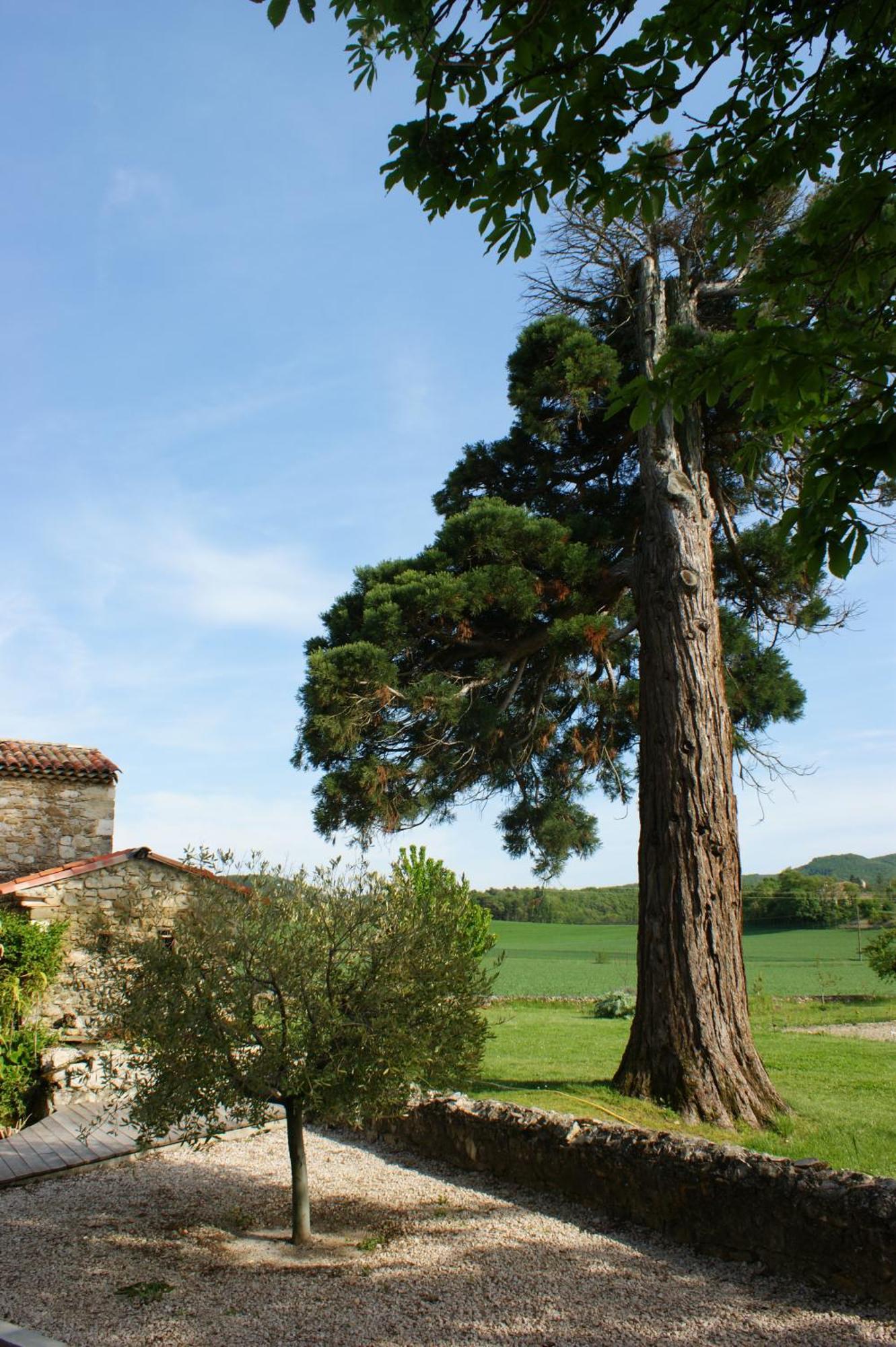 Le Prieure Des Sources Hotel La Repara Luaran gambar